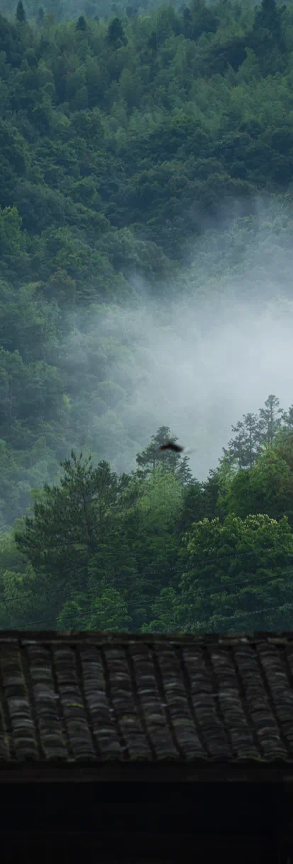 企业愿景生活方式_愿景在企业中的作用_愿景对企业有什么重要性